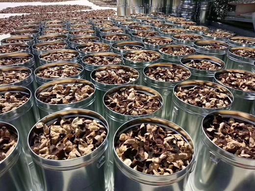 【自营】陈皮代用茶（500g/罐） 商品图9