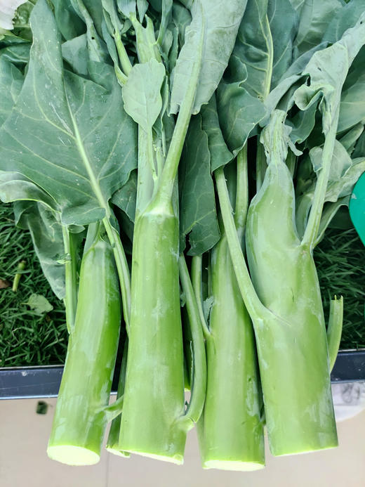 芥兰心(农场自产)无化肥,绿色等级生产