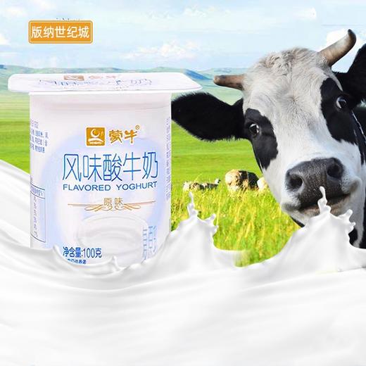 【bn】蒙牛原味酸奶 100g×8杯/板