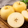 【奶油黄富士苹果 礼盒】8粒或9粒/箱，香甜可口 商品缩略图0