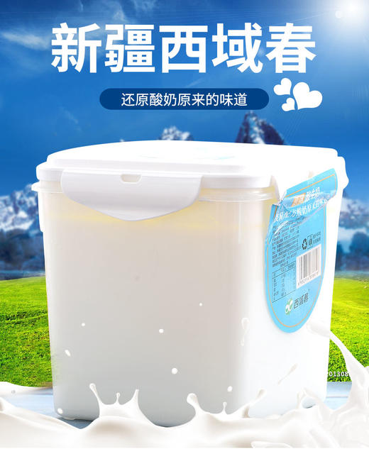 新疆西域春网红老酸奶大桶装2斤