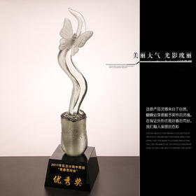 成长奖美丽奖琉璃奖杯定制免费刻字蝴蝶花企业活动颁奖刻字纪念品