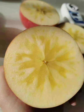 ，新疆源采直发：克苏冰阿糖心苹果🍎