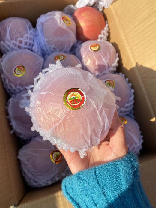 ，新疆源采直发：克苏冰阿糖心苹果🍎 商品图1
