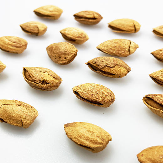 新疆莎车 特级巴旦木 原味/奶香 500g*2袋 商品图1