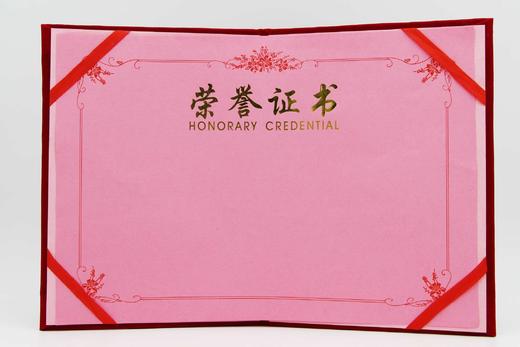 启恒荣誉证书 绒面加厚12烫金奖状 1本 打开平摊a4证书优秀员工年会活动奖励表彰 商品图6