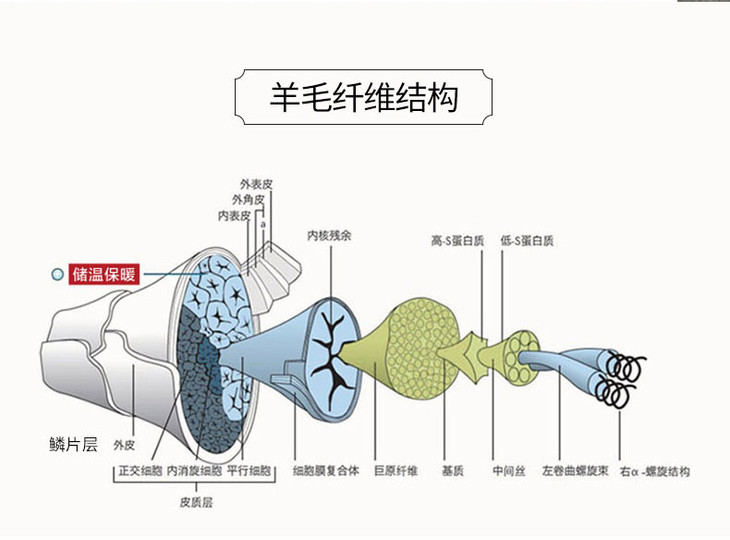 亲肤透气夏洛莱抗菌羊毛被200230cm