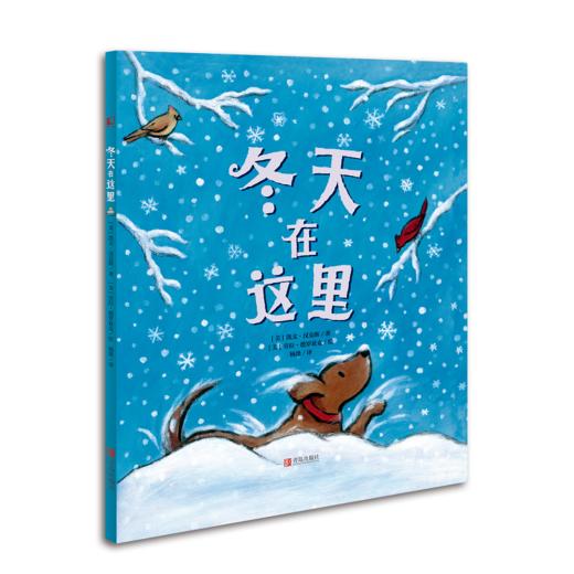 冬天在这里 商品图0