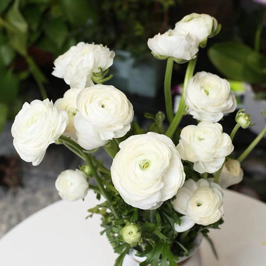 配花-洋牡丹-白色-20支 商品图1