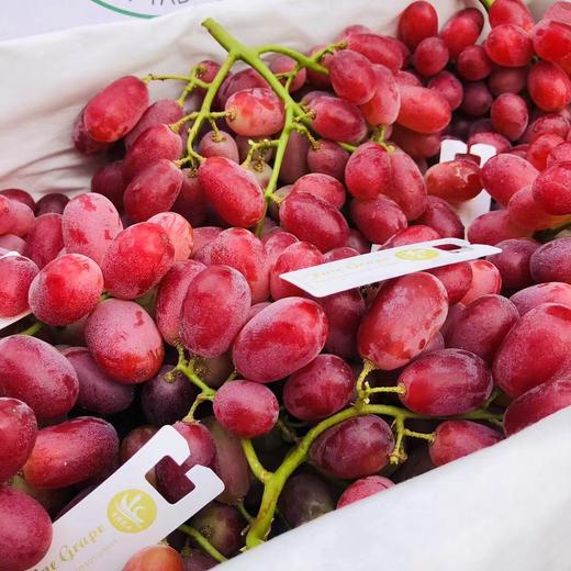 克瑞森超甜无籽红提一箱9斤