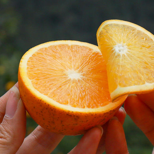 【湖南麻阳冰糖橙】 满满维C 甜蜜满满 现摘现发 新鲜脐橙 商品图3