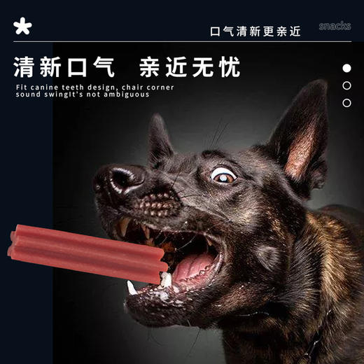 麦斯蒂宠物零食磨牙棒洁齿骨220g罐装 三种味道可选 日期新 商品图6