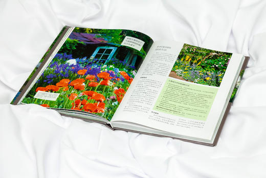 英国皇家园艺学会 小花园园艺指南 商品图3