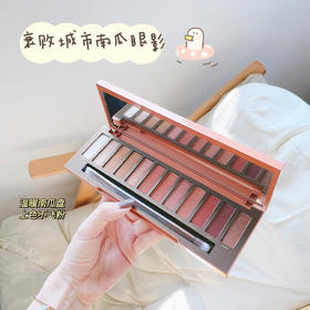 美国Naked UrbanDecay衰败城市12色眼影Heat 南瓜眼影盘