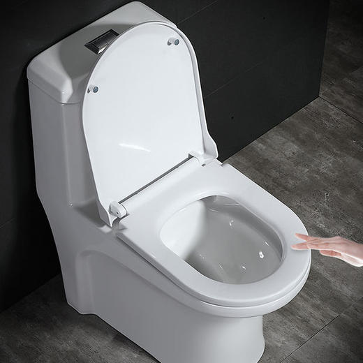 0322 8D大管道马桶【非申泉品牌】 商品图1