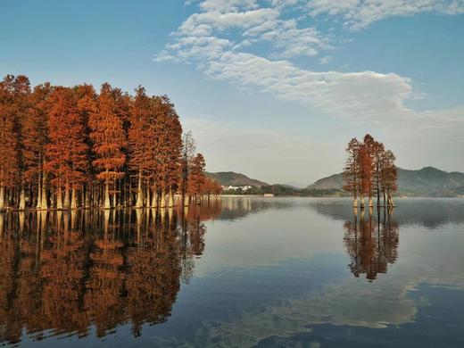 秋摄浙江——花岙岛火山岩、千亩盐田、古寺银杏5天摄影《11月》 商品图3