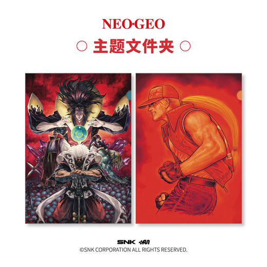《NEOGEO视觉史》限量典藏版 商品图4