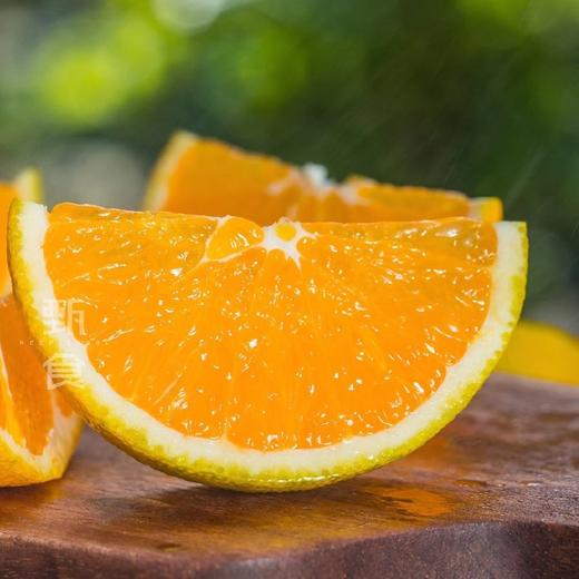 秭归九月老树红橙 果肉细腻，化渣度好橙香味十足，果园现摘现发 商品图9