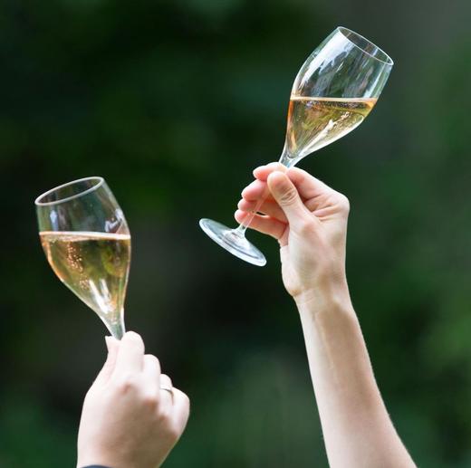 【小瓶3瓶任选池专用】Bruno Paillard Rosé Première Cuvée 布鲁诺百漾粉红香槟 375ml 商品图11