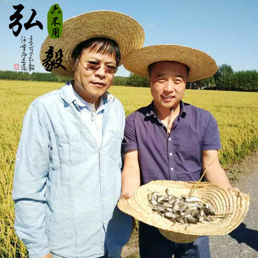 【弘毅六不用生态农场】六不用 五常大米 5斤/份 商品图4