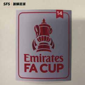 SFS正品 英超20/21足总杯臂章