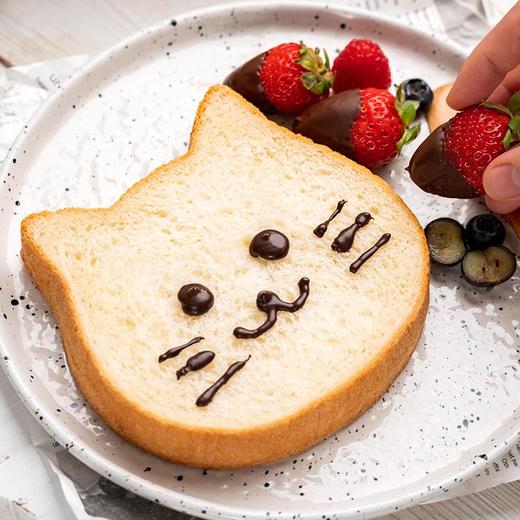 视频课不送模具卡卡家猫咪吐司课程香喷喷软噗噗风靡日本爆红ins