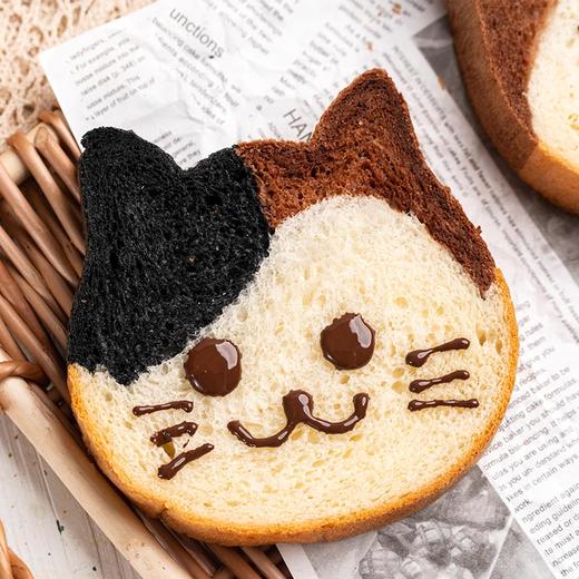 视频课不送模具卡卡家猫咪吐司课程香喷喷软噗噗风靡日本爆红ins