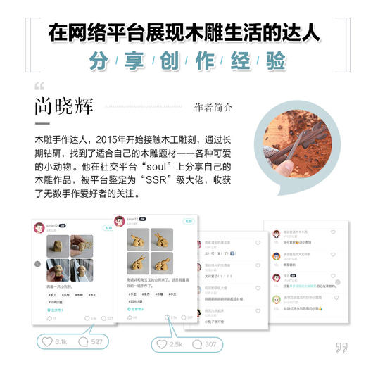 硬木头雕出软萌感 木雕小物手作自学教程 商品图1