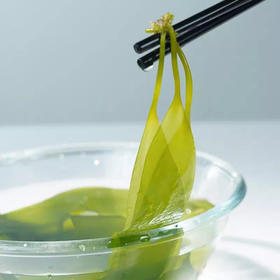 霞浦海带嫩苗5斤装