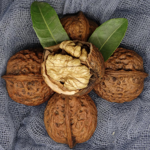 云南古树核桃高寒地区百年老树仁白脆嫩果香浓郁赠送夹子包邮