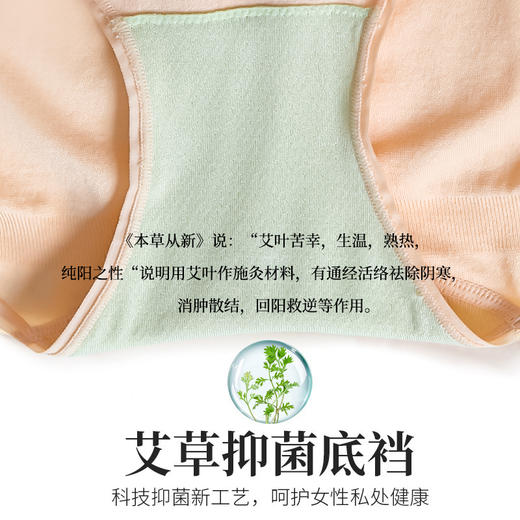 【套装减20】芭莎小蛮腰暖宫裤  立体剪裁提臀收腹穿出曲线  艾草底档AAA级抗菌 商品图3