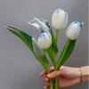 「单品花材」荷兰冰雪公主郁金香 商品缩略图0
