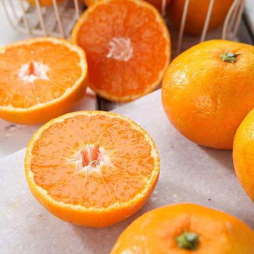【砂糖橘】3斤/5斤装，纯甜多汁，鲜甜可口 商品图1