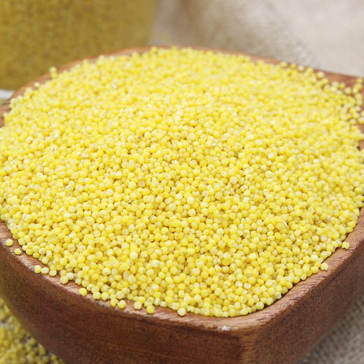 敖汉生态小米世界小米发源地生态种植米油丰富软糯粘稠