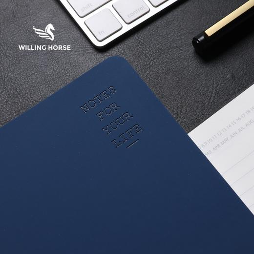 WILLINGHORSE  维度套装 商务本 商品图0