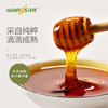 【优惠券商品 】汪氏蜂蜜 森林蜜305克/瓶 商品缩略图5