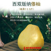 【全国包邮】云南西双版纳傣柚 （单果2-2.5斤）（72小时内发货） 商品缩略图0
