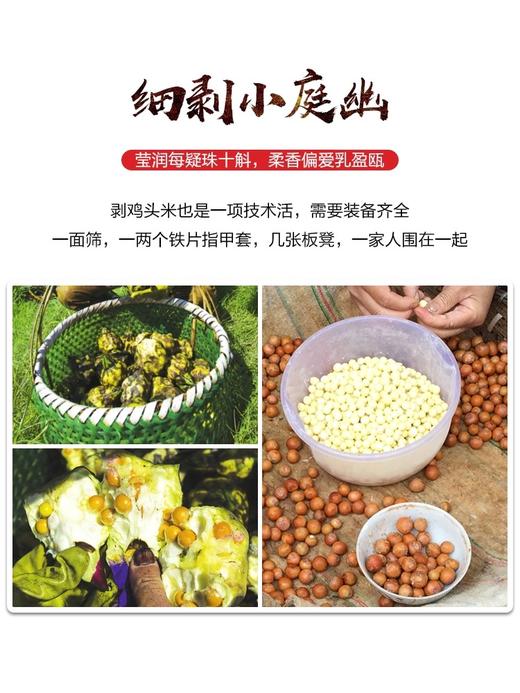 大鸡头米125克净重 商品图3