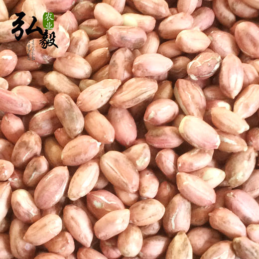 【弘毅六不用生态农场】六不用 花生油 农场自产原料 1000毫升/份 商品图5