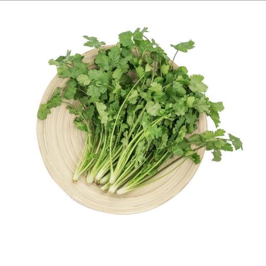 香菜每公斤 商品图0