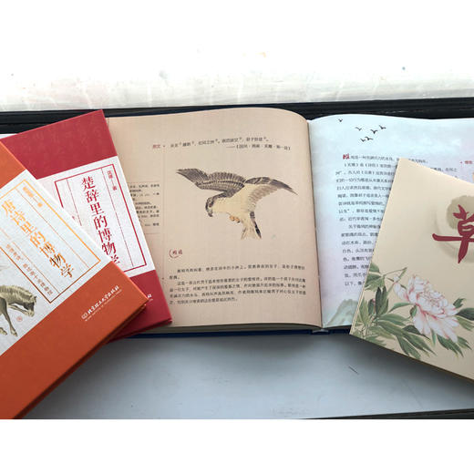 国学里的博物学全3册诗经楚辞唐诗来自国学里的动植物百科图鉴 商品图3