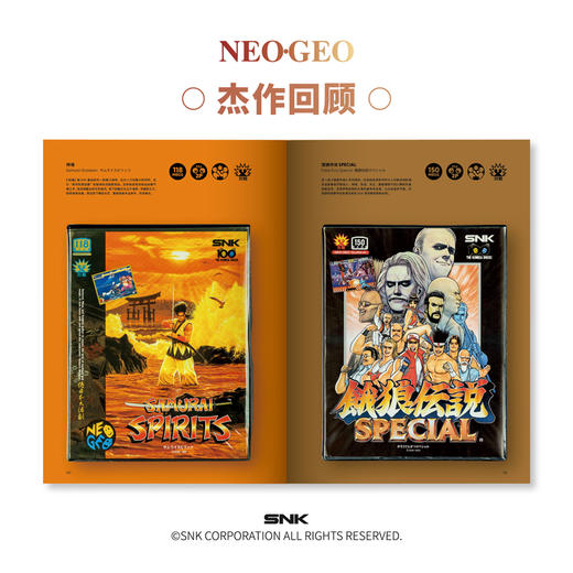 《NEOGEO视觉史》丨标准版丨典藏版 商品图3