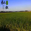 【弘毅六不用生态农场】六不用 弘毅大米 5斤装 商品缩略图2