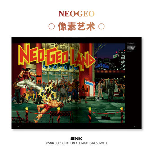 《NEOGEO视觉史》丨标准版丨典藏版 商品图4