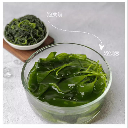 霞浦海带嫩苗5斤装 商品图3