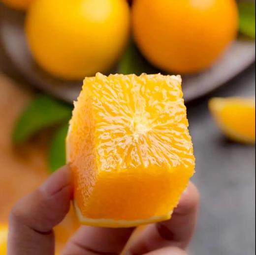 【码帮直采 赣南脐橙】江西寻乌核心产区赣南脐橙 新鲜当季爆汁甜橙水果 含包装10斤装 商品图0