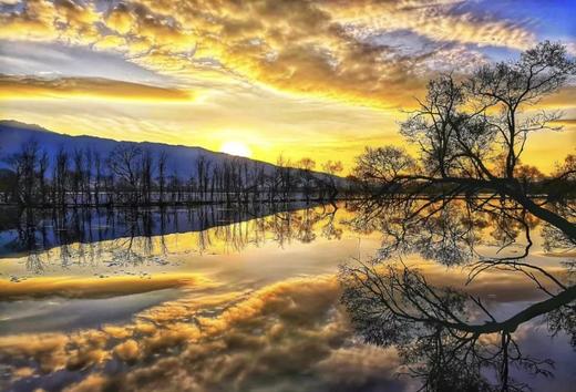 无量山樱花谷、剑湖拍水鸟、黄龙潭水上盆景、沙溪古镇、巍山古城6天摄影团 商品图0