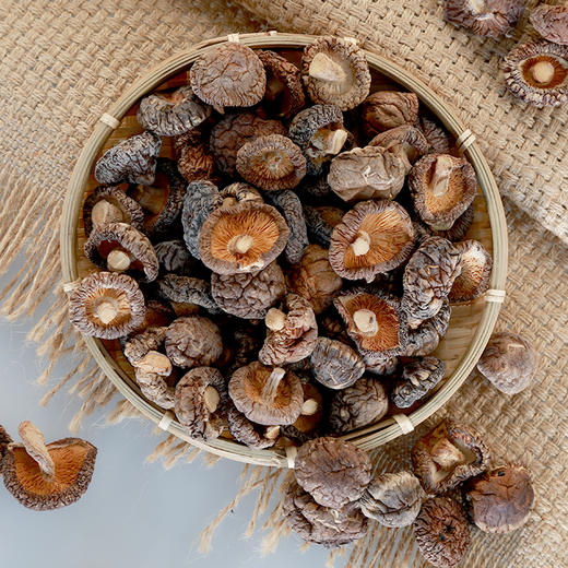 菌香传奇牌珍珠菇125g/盒 商品图3