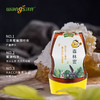 【优惠券商品 】汪氏蜂蜜 森林蜜305克/瓶 商品缩略图3