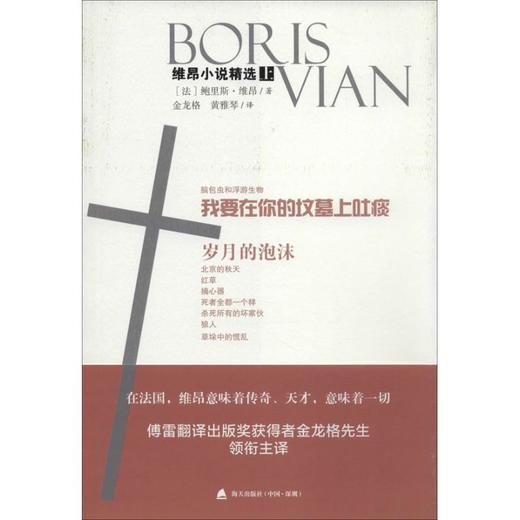 维昂小说精选 商品图0